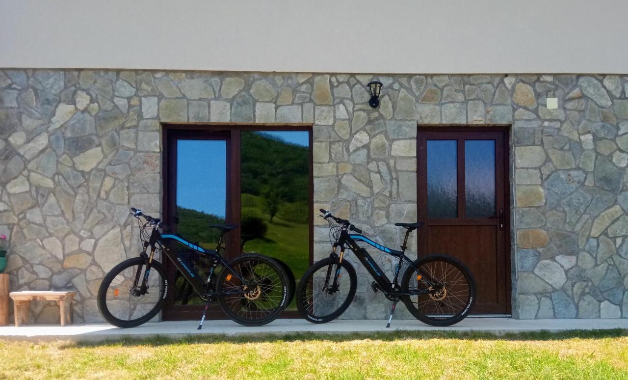 House S&d Chalet