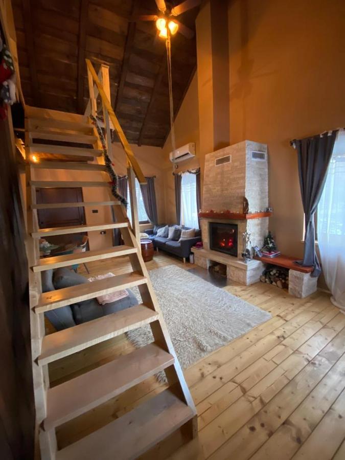 House S&d Alpstuga